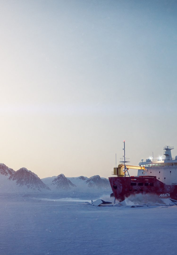 Animation Icebound - Twilight