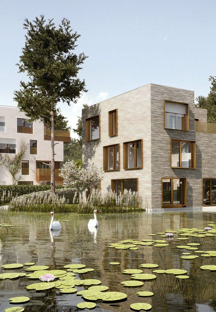 Lakeside illustration of the villa