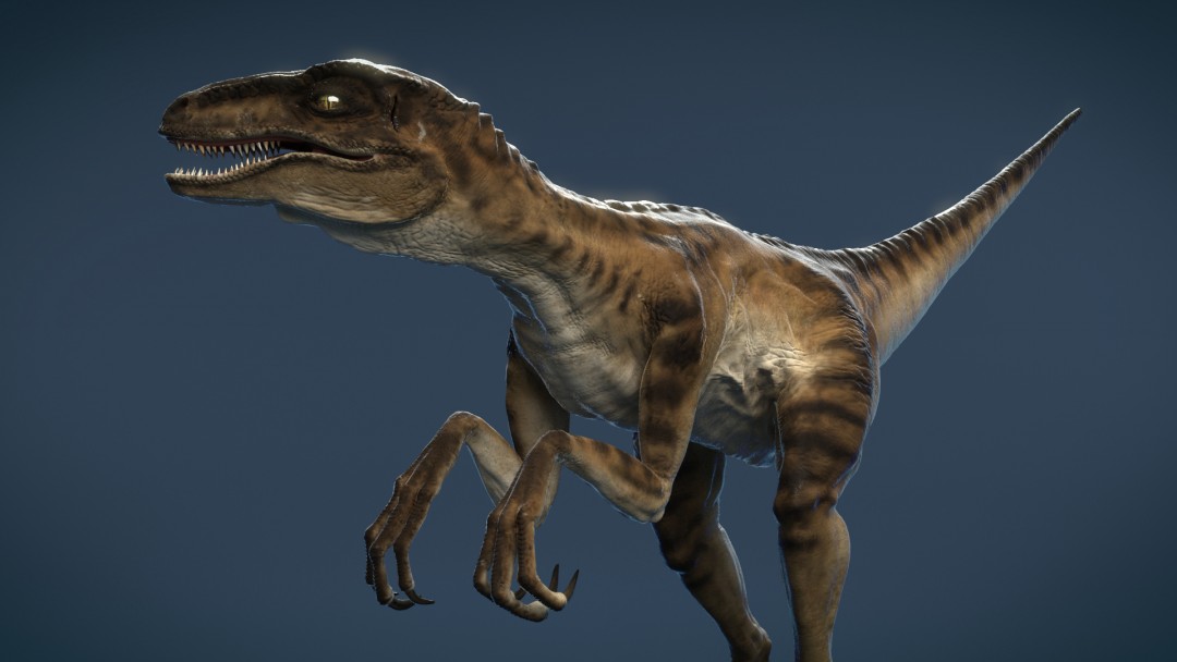 Velociraptor_CG_Dinosaur_by_xoio